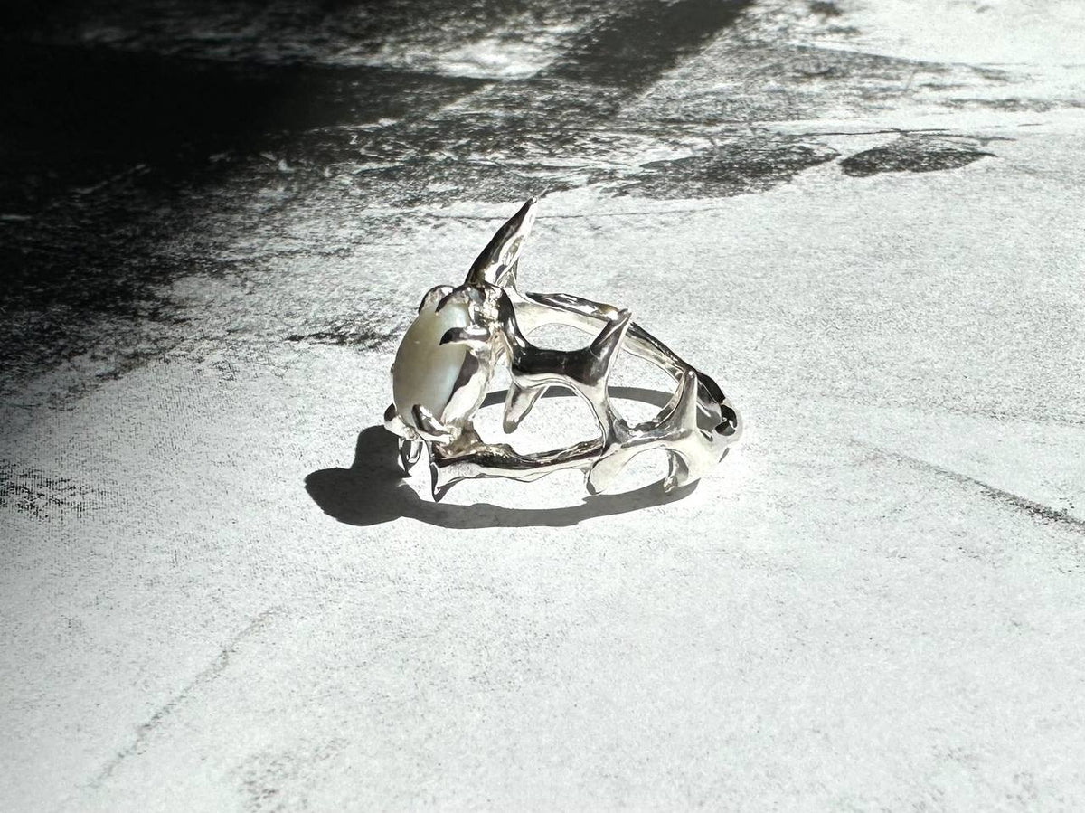 Nacre SP ring