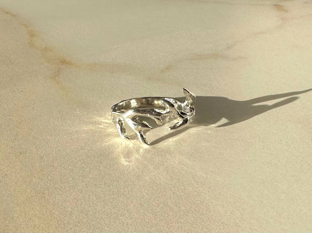 CF ring