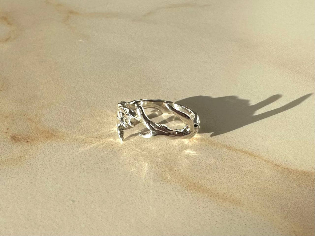 CF ring