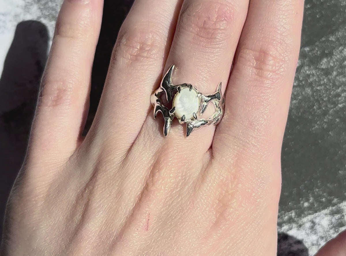 Nacre SP ring